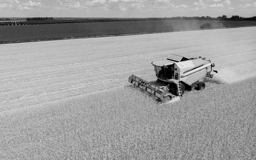 Harvesting